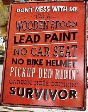 I survived.jpg