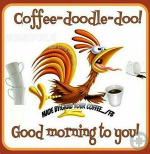 13f8cf918d515a3b78137003fe7b0fa5[1].jpg