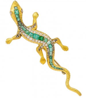 Lizard.jpg
