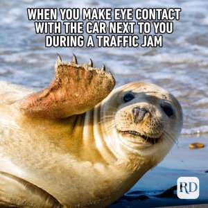 08_When-you-make-eye-contact-FINAL.jpg