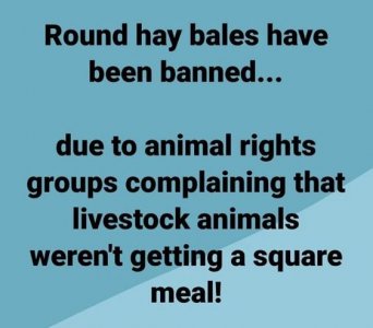 round hay.jpg