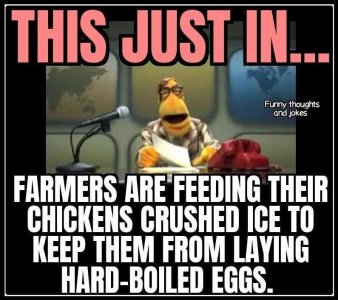 AE40ABF3-F8CC-406E-B97D-4F00245A0C6F.jpeg