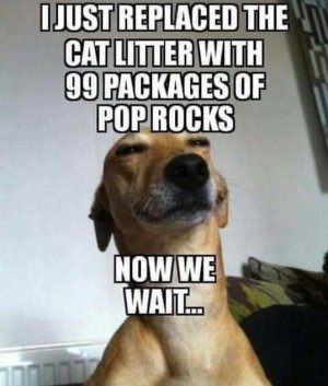 49892302-EA7C-4EED-A10D-D2A91A2280C7.jpeg
