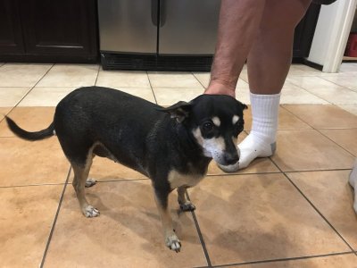 Lucy.JPG