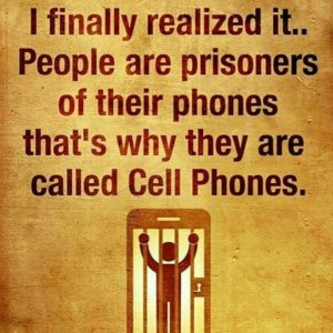 cell.jpg