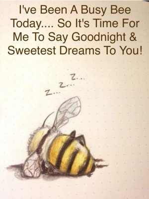 6b457e48884cc7d7122d9a81315ef2db[1].jpg