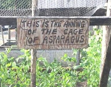 awning of asparagus.jpg