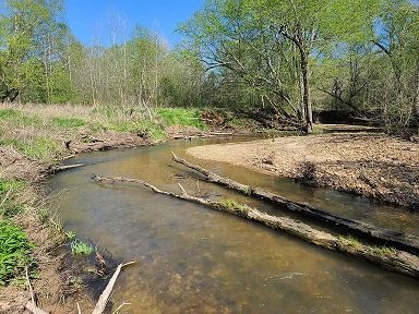 creek east.jpg