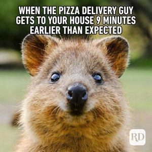 03_When-the-pizza-guy-FINAL.jpg