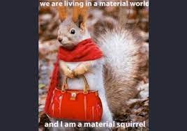 materialsquirrel.jpeg