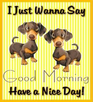 54bb12641efd793f5a5da4bbe354498a[1].jpg