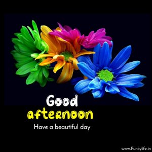 good-afternoon-images-41-1.jpg