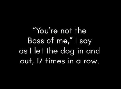 boss.jpg