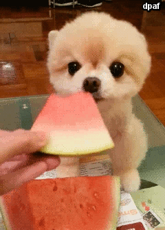2CFE7EC6-F5C9-40DF-9693-6E5FA94C9294.gif