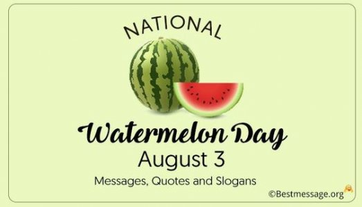 0c1e6291935068a82ea490a6b34de6e0[1].jpg