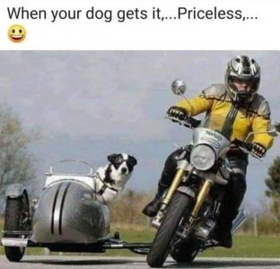 294071741_5249437531758889_7457401299492291298_n.jpg