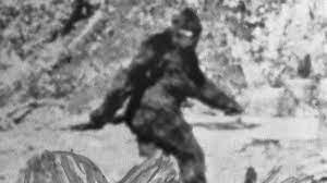 How the Bigfoot Legend Began - HISTORY