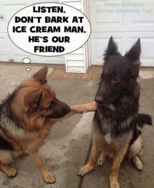 FB_IMG_1659590437902.jpg