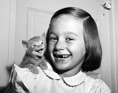 1955.jpg
