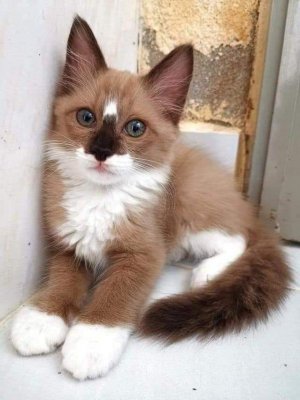 cutest1.jpg