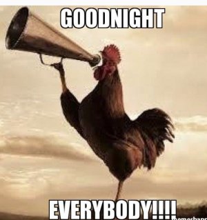 Goodnight Cock,.jpg