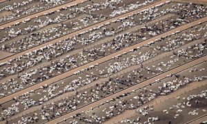 a-cattle-farm-at-Estancia-002.jpg