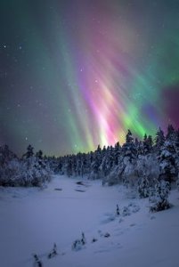 a arora borealis in winter.jpg
