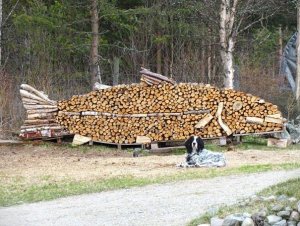 IMG_1035.JPG