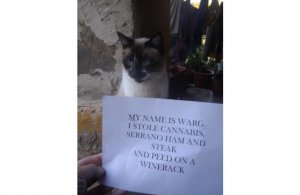 warg.jpeg