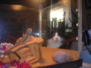 december 2016 010.jpg december 2016 010.jpg