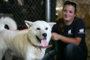 rescuer-and-dog-jm0012-at-atlanta-airport-credit-in-defense-of-animals.jpg