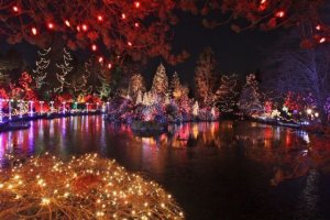amazing_christmas_lights_640_45.jpg