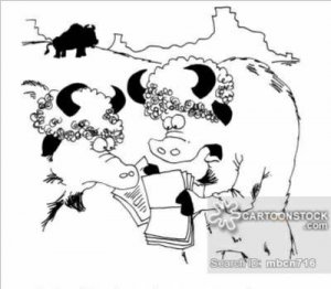 animals-buffalo-bison-where_the_buffalo_roam-roaming-cell_phone-mbcn716_low.jpg