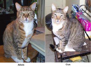 Adam & Gus.JPG
