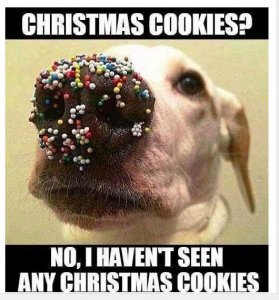 Christmas cookies.JPG
