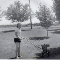 lawnmower1.gif