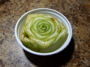 celery started (800x600).jpg celery started (800x600).jpg