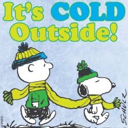 cold.jpg