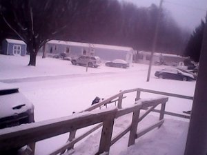 IMG_20170108_164410.jpg