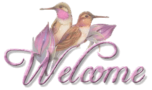 welcome-birds (1).gif