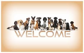 dog welcome.jpe