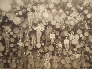 woodpile.jpg