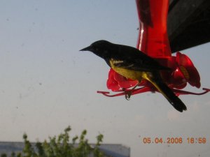 DSCN0841.jpg