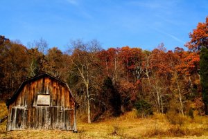 IMG_1509.jpg