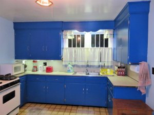 rsz_img_0291 (1).jpg