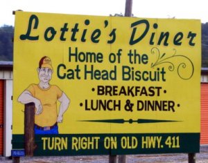 lotties.jpg