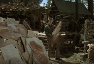 flatrocksPt6_2_28.gif