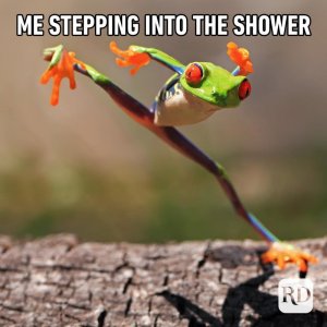 animalmemes-18.jpg