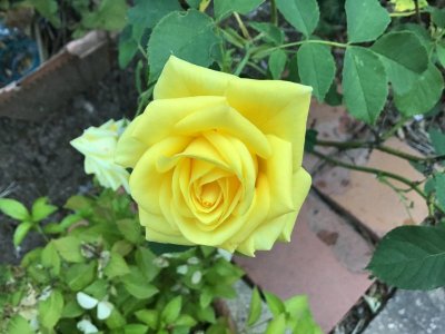 C60C2ED5-3247-482B-83AE-3CF73B48D33E.jpeg