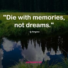 c2feee389dbdc8fd53ac5c9fc9f74d06[1].jpg